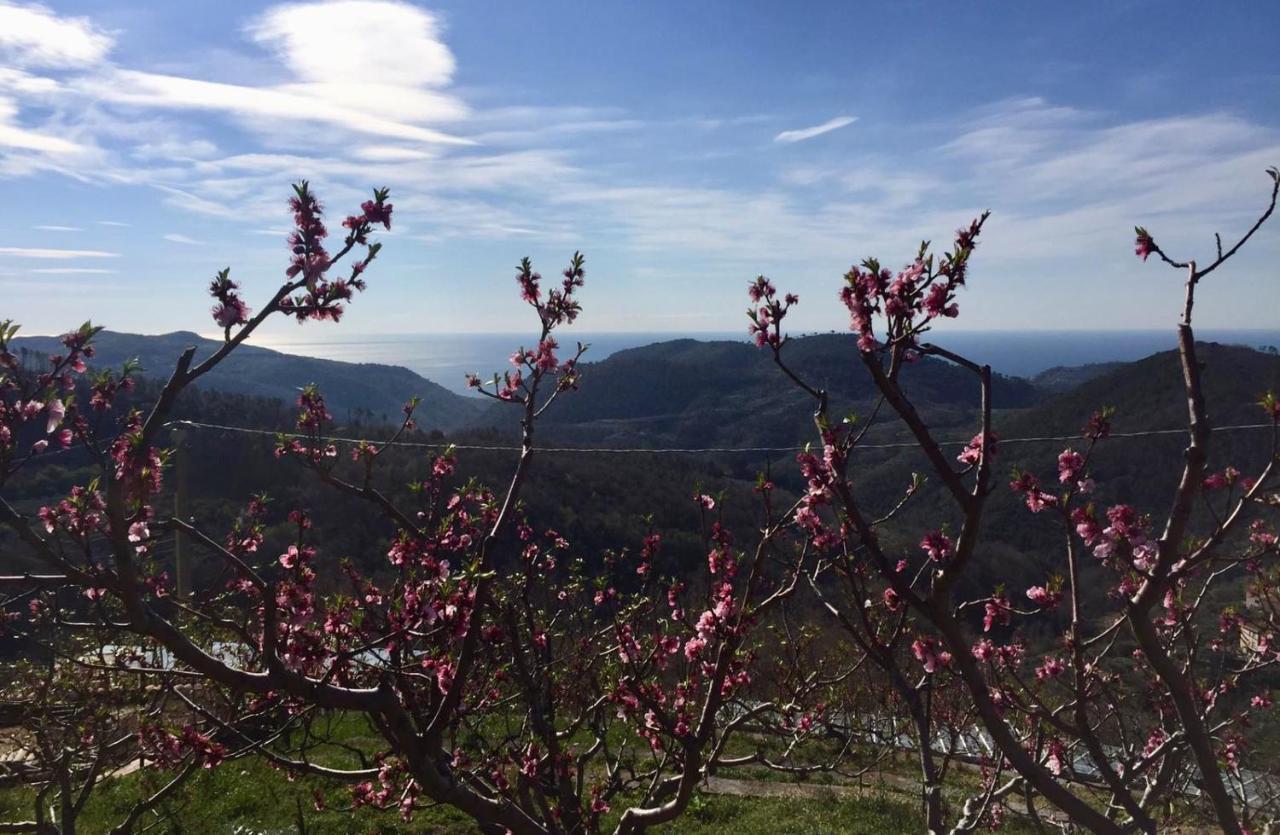 Agriturismo Lavalleggia Tovo San Giacomo Экстерьер фото