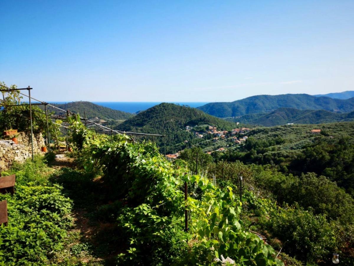 Agriturismo Lavalleggia Tovo San Giacomo Экстерьер фото
