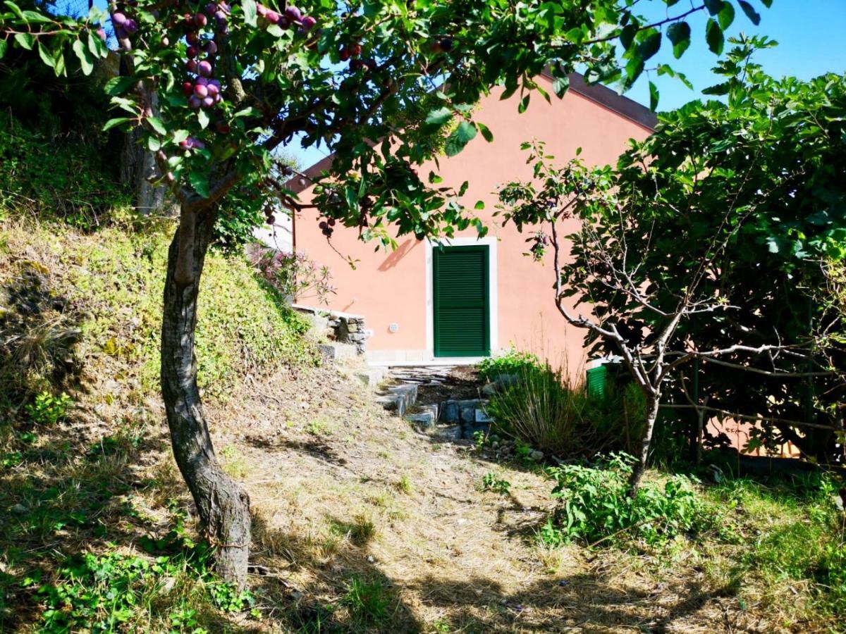 Agriturismo Lavalleggia Tovo San Giacomo Экстерьер фото