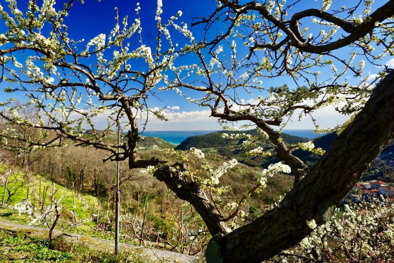 Agriturismo Lavalleggia Tovo San Giacomo Экстерьер фото