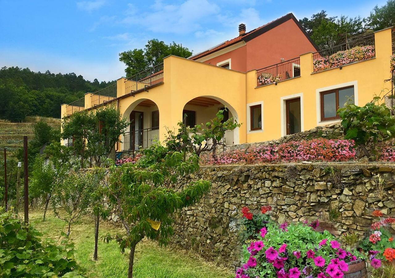 Agriturismo Lavalleggia Tovo San Giacomo Экстерьер фото